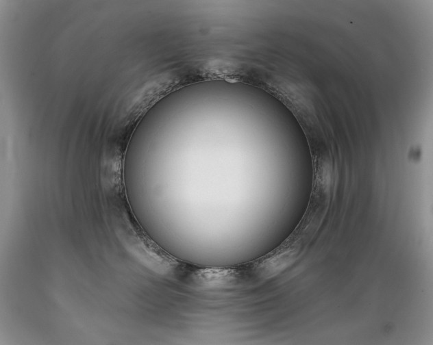 X0000089390526200706221321