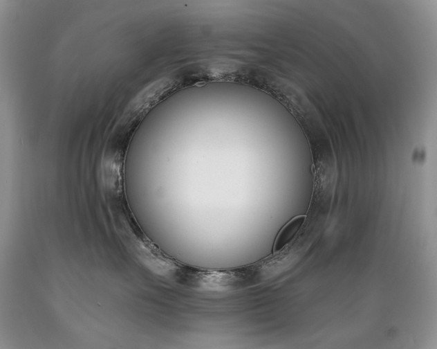 X0000089390527200706221321