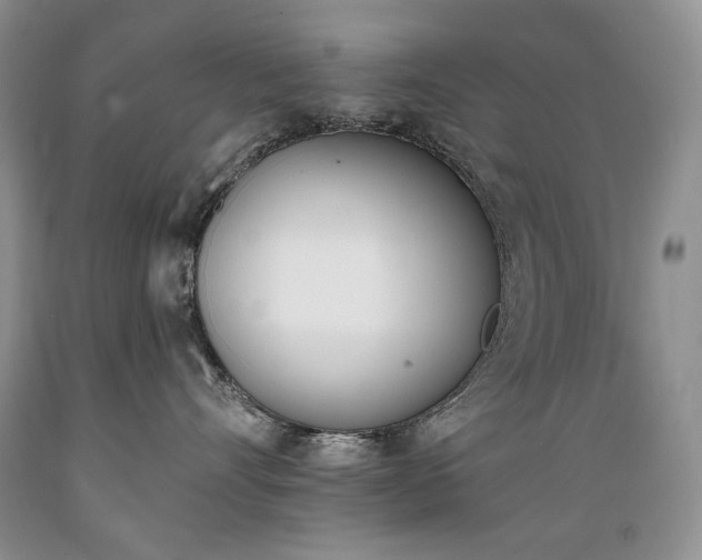 X0000089390528200706221320