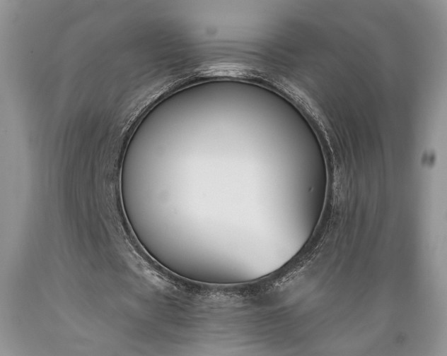 X0000089390529200706221320