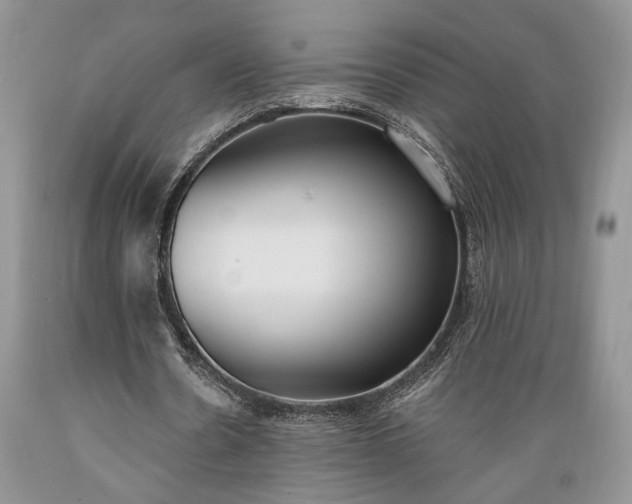 X0000089390530200706221320