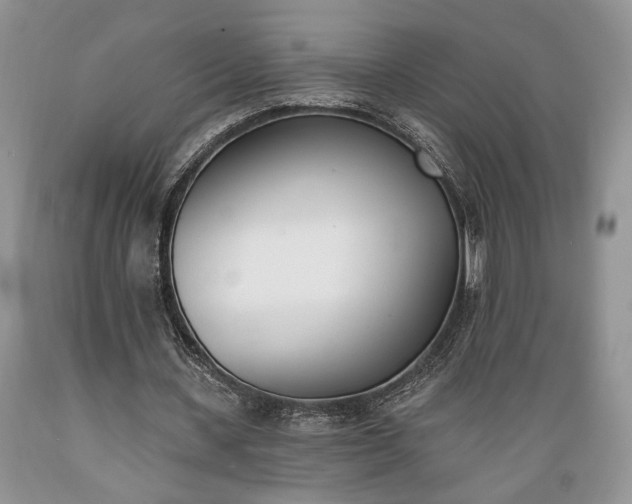 X0000089390531200706221320