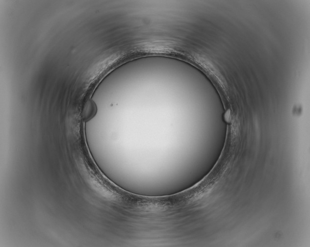 X0000089390533200706221320
