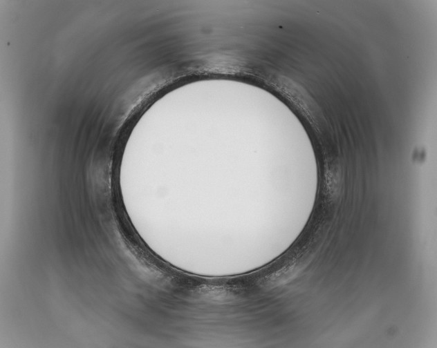 X0000089390534200706221320