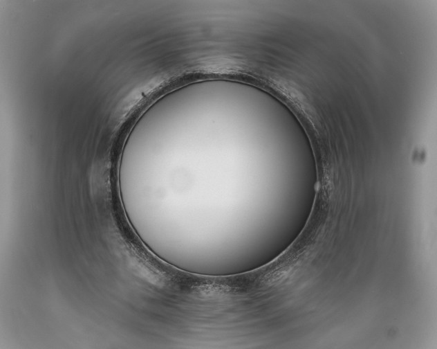 X0000089390535200706221320
