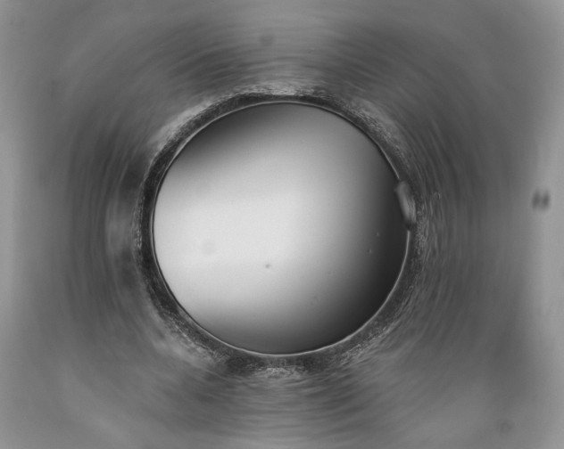 X0000089390536200706221320
