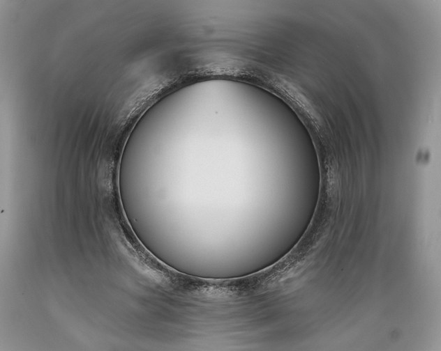 X0000089390537200706221320