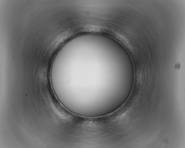 X0000089390538200706221320