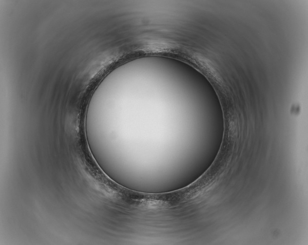 X0000089390539200706221320