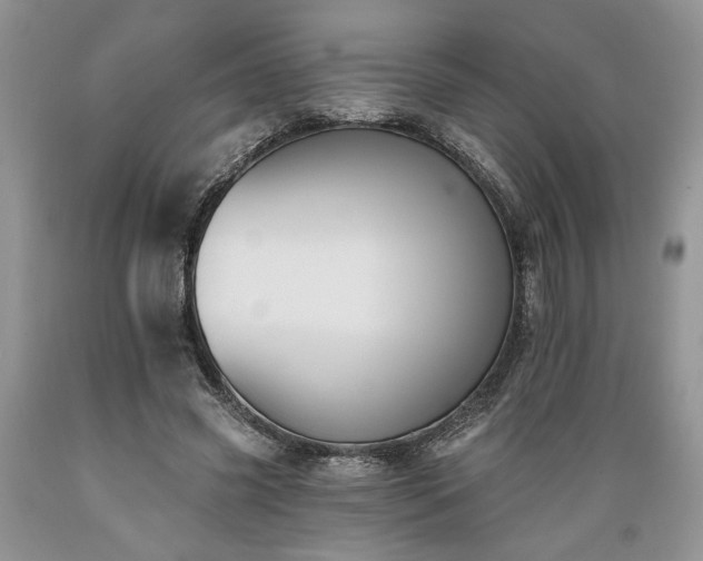X0000089390541200706221320
