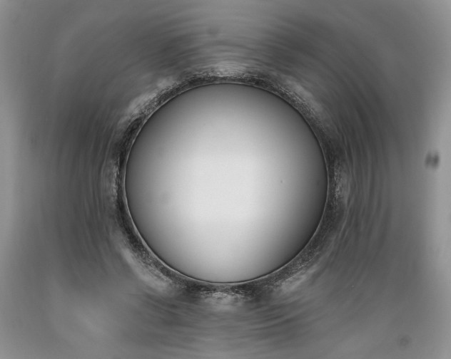 X0000089390542200706221320