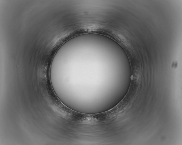 X0000089390543200706221320