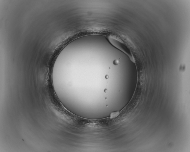 X0000089390544200706221320