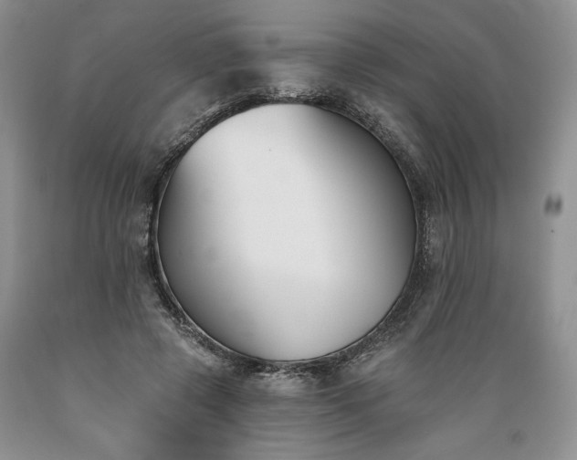 X0000089390545200706221320