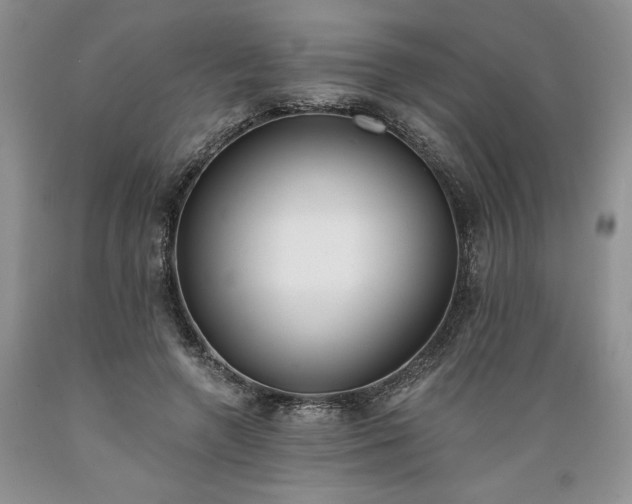 X0000089390546200706221320