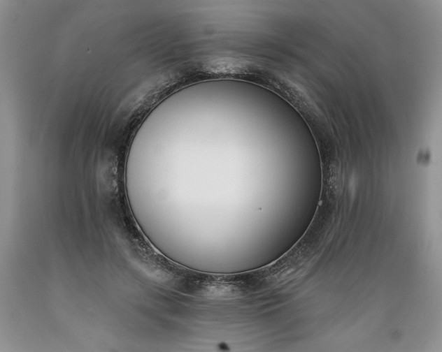 X0000089390547200706221320