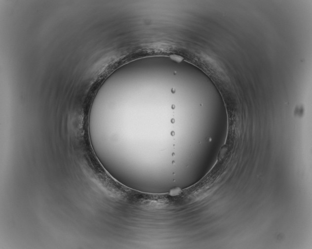 X0000089390548200706221320