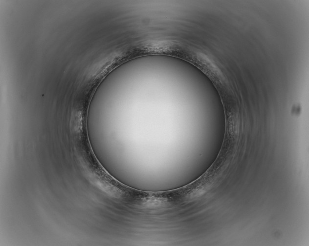 X0000089390549200706221320