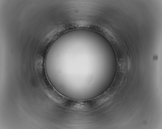 X0000089390550200706221320