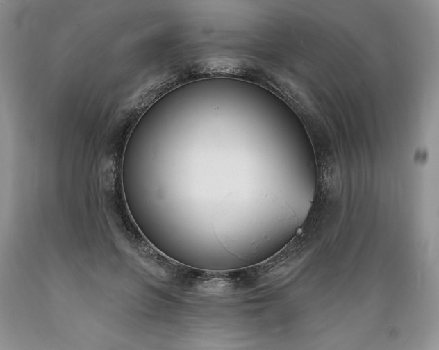 X0000089390551200706221320