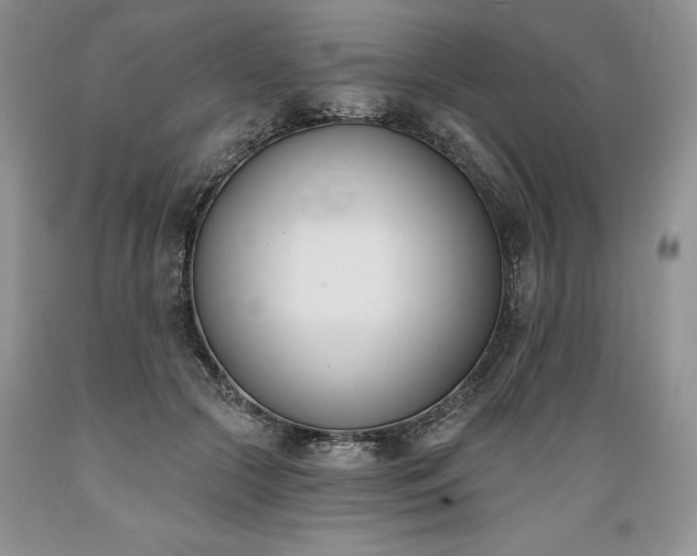 X0000089390553200706221320