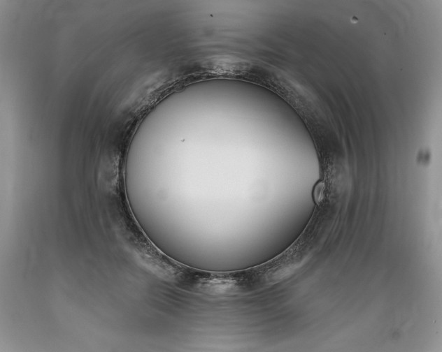 X0000089390554200706221320