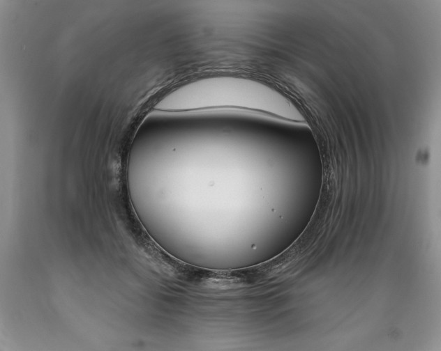 X0000089390556200706221320