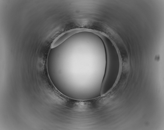 X0000089390558200706221320