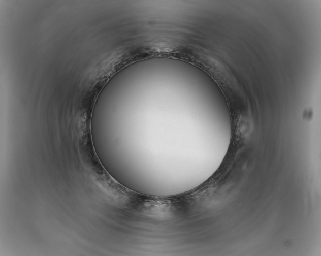 X0000089390559200706221320