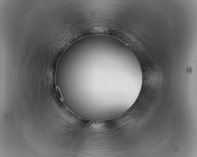 X0000089390560200706221320