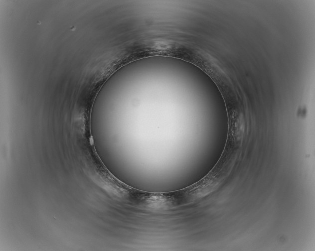 X0000089390562200706221320
