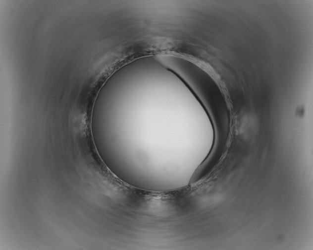 X0000089390564200706221320