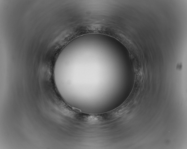 X0000089390566200706221320