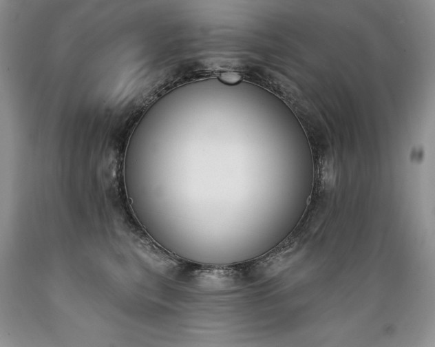 X0000089390567200706221320