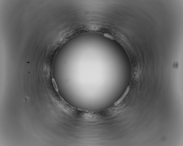 X0000089390568200706221320
