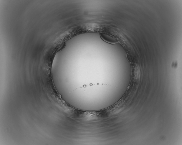 X0000089390569200706221320