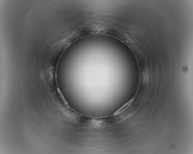 X0000089390570200706221320