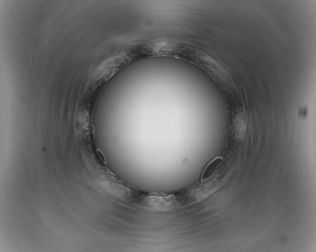 X0000089390571200706221320