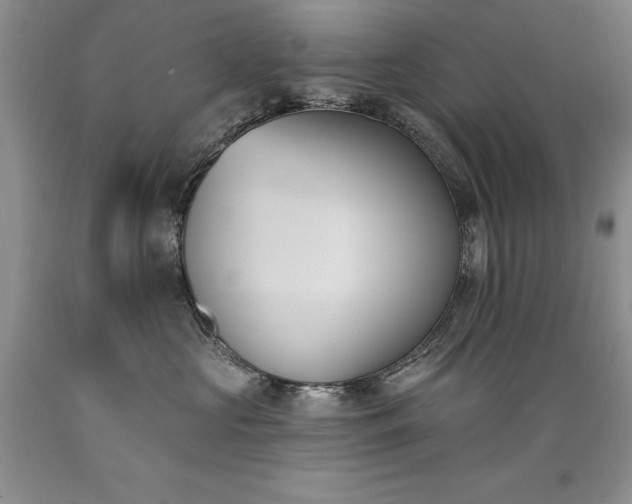 X0000089390573200706221320
