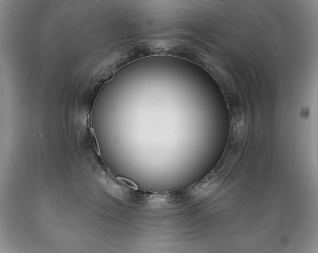 X0000089390574200706221320