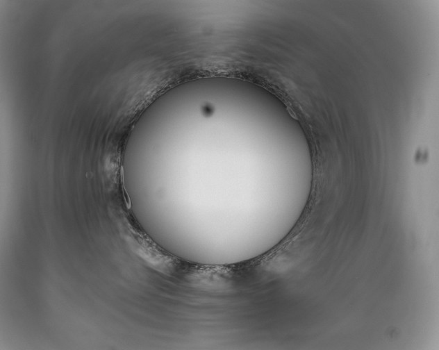 X0000089390576200706221320
