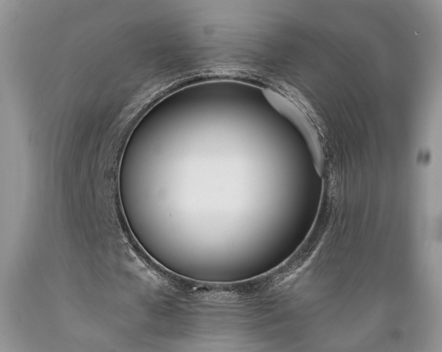 X0000089390577200706221320