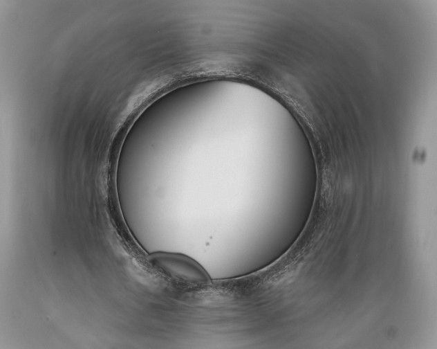 X0000089390578200706221320