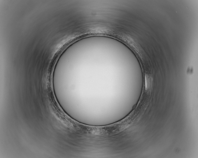 X0000089390579200706221320