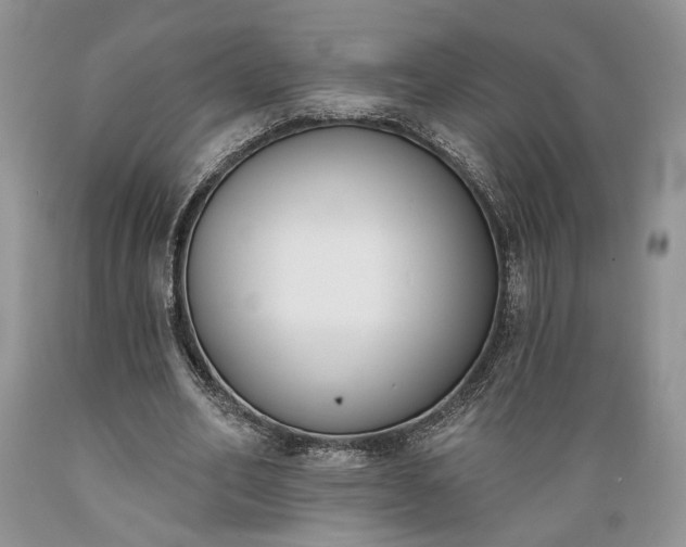 X0000089390582200706221320