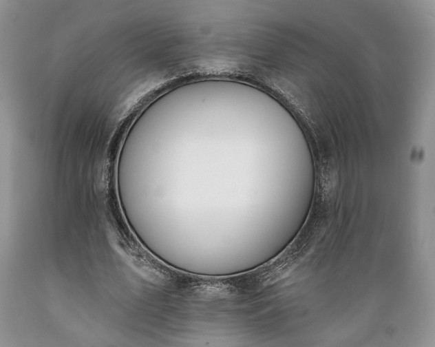 X0000089390583200706221320