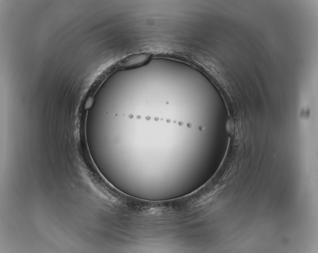 X0000089390584200706221320