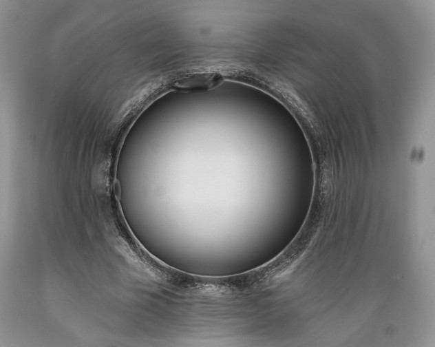 X0000089390585200706221320