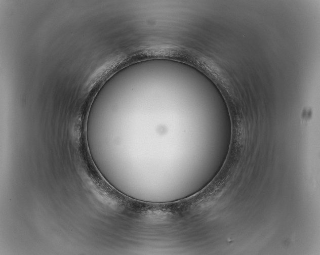 X0000089390586200706221320