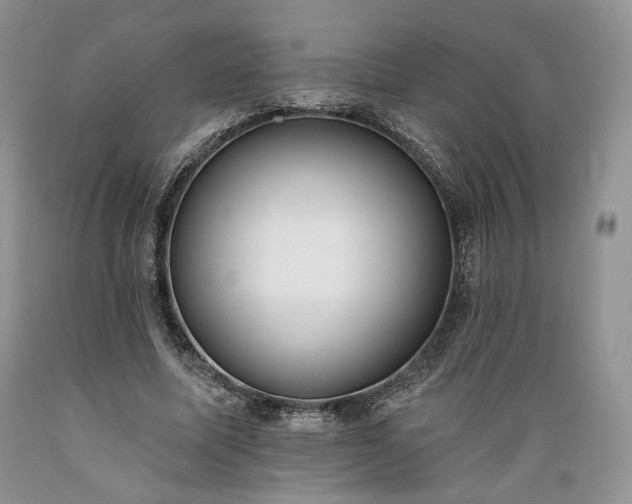 X0000089390587200706221320